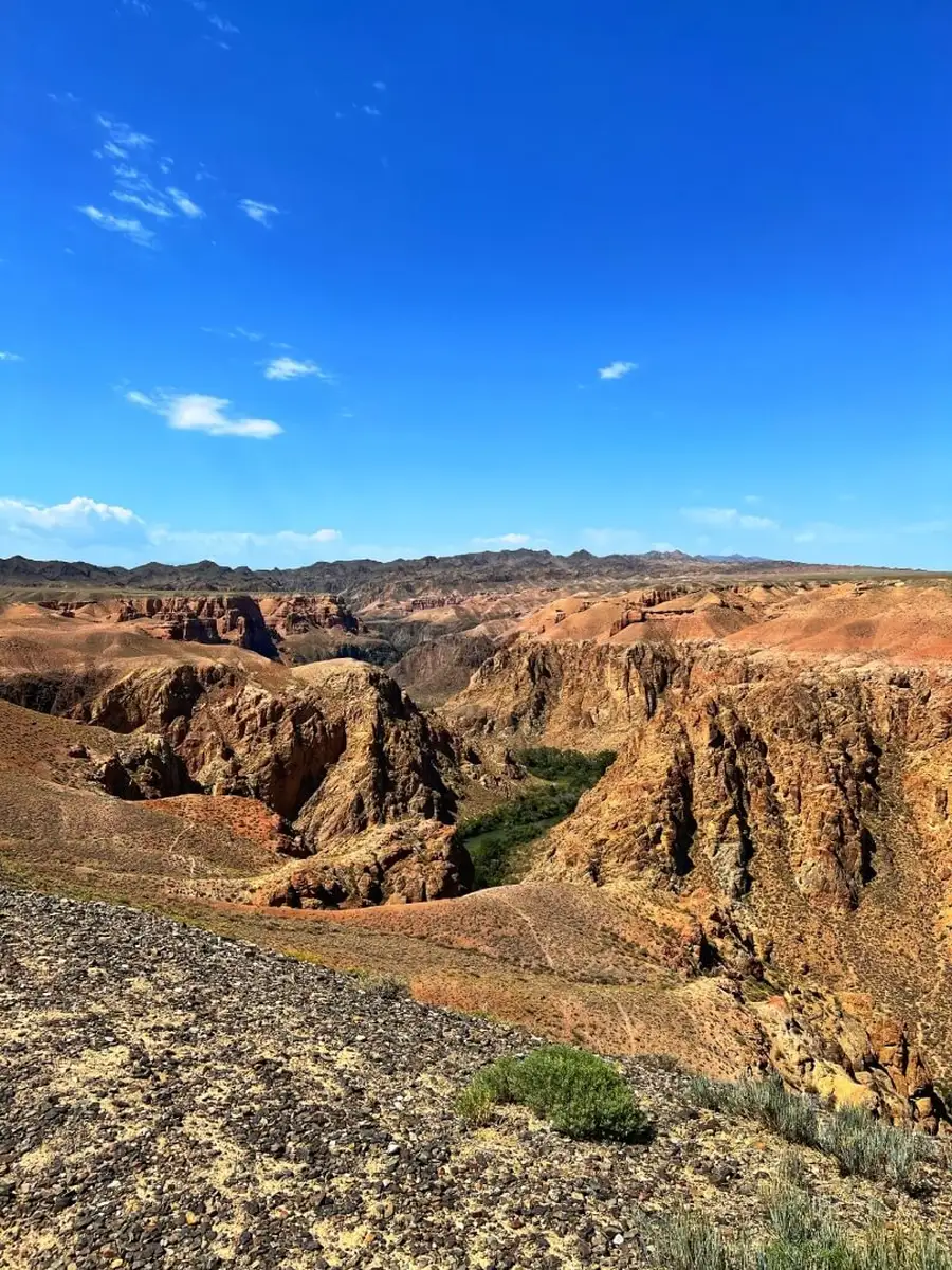 Sweeping view of Charyn Canyon National Park with a green oasis in the rocky ravine below